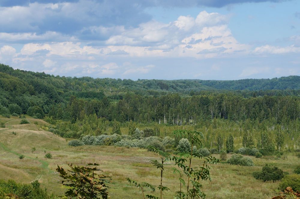 Photograph by Босак Ирина