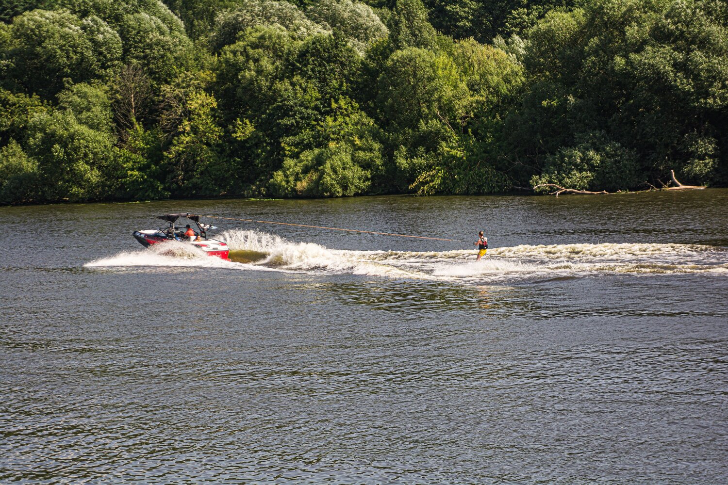 Photo #7800818