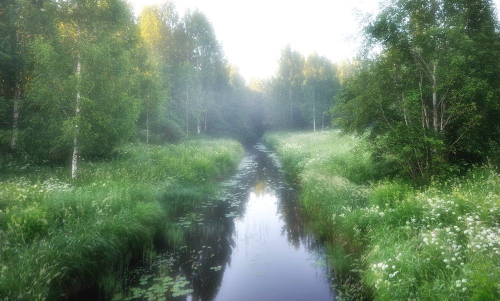 Photograph by Андрей Куликов