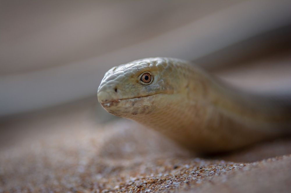 Photograph by Dyakon Zhora