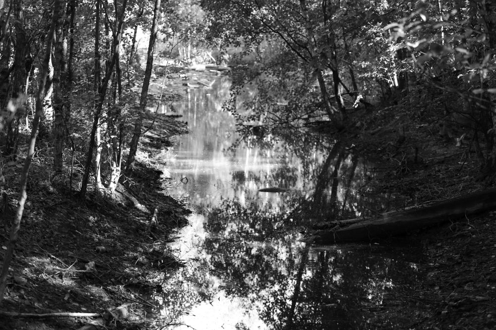 Photograph by Станислав Вершинин