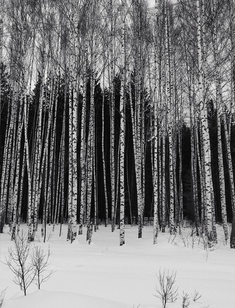 Photograph by Ольга Мартьянова