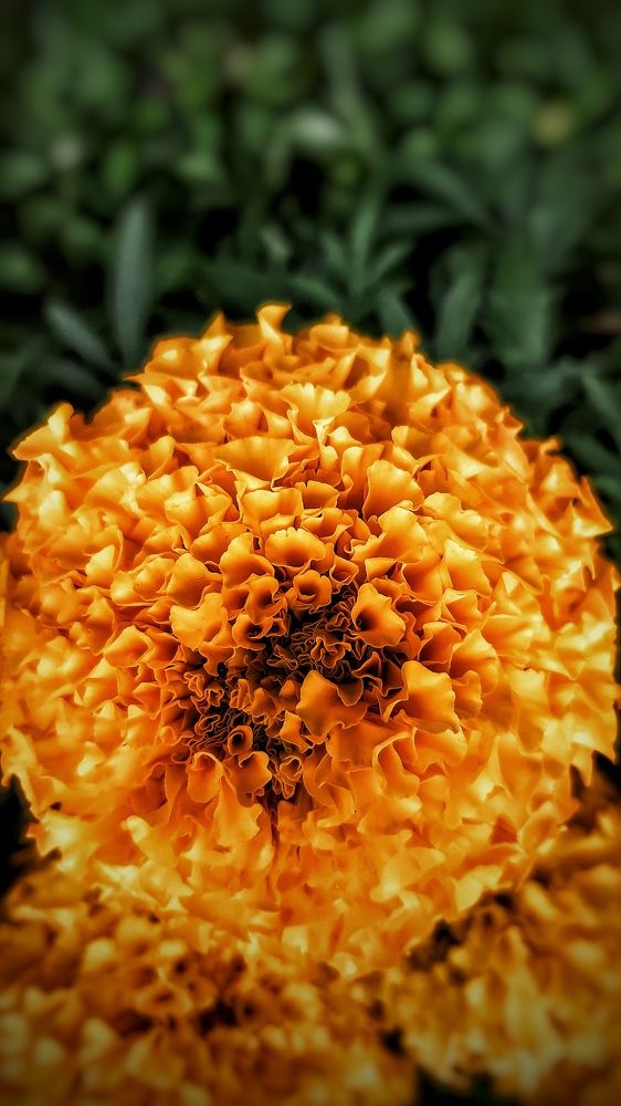 Photograph by Екатерина Мурсынина