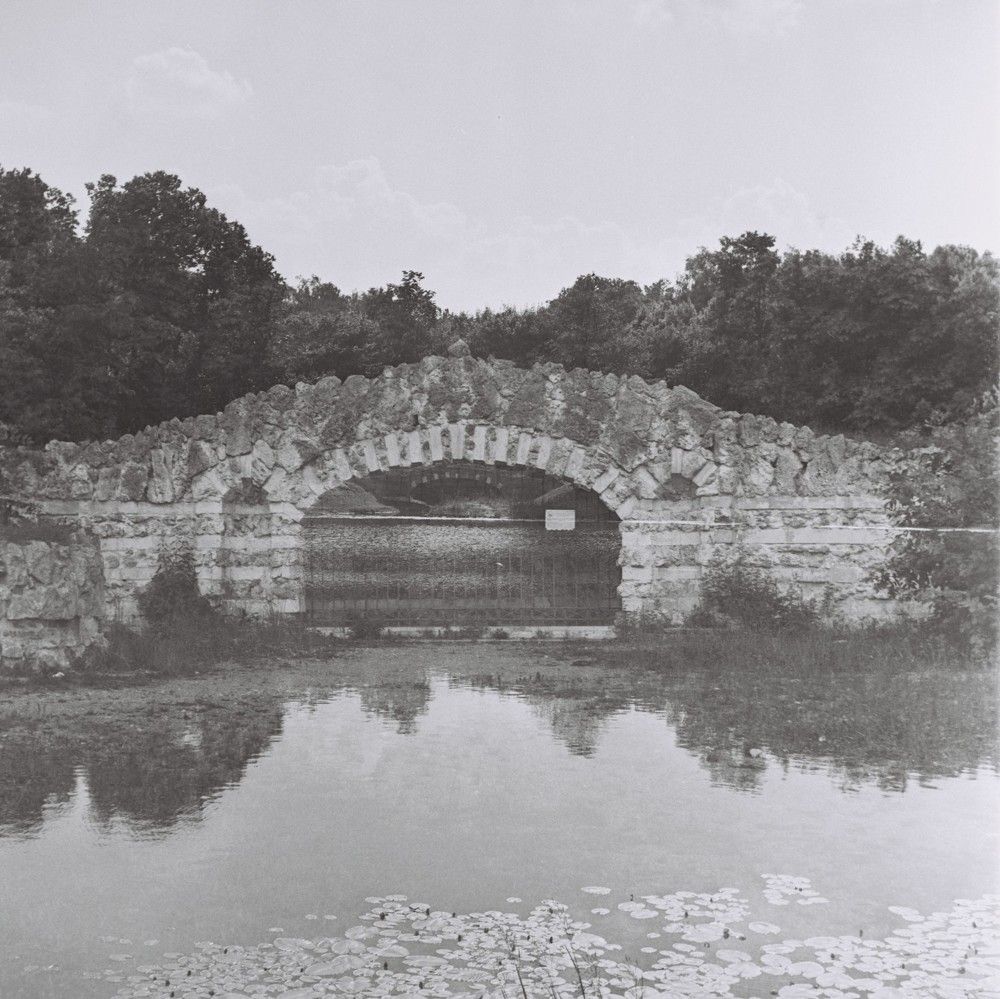 Photograph by Dmitriy