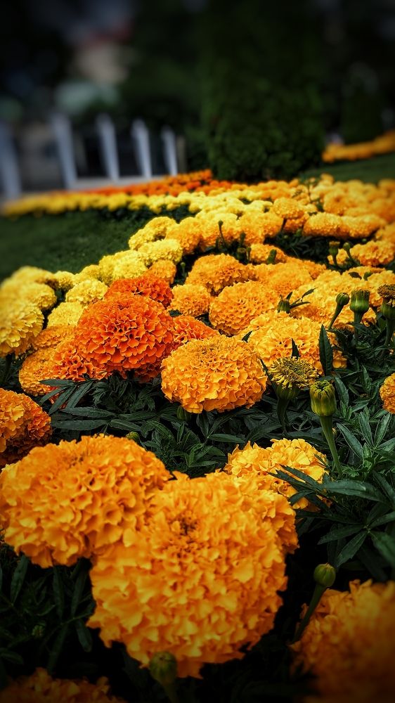 Photograph by Екатерина Мурсынина