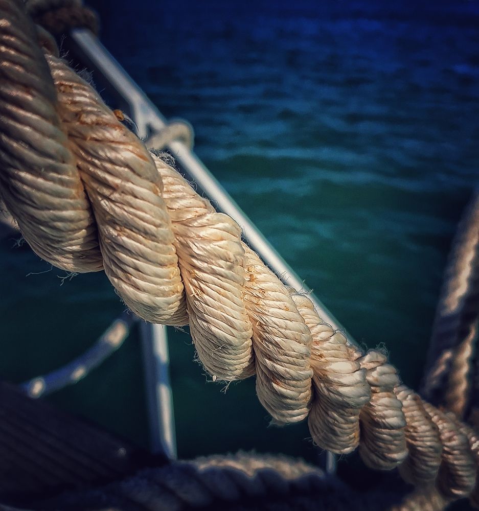 Photograph by Екатерина Мурсынина