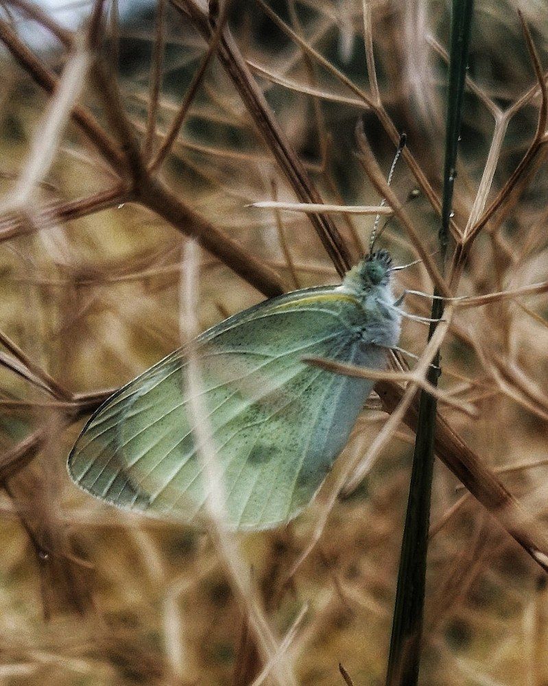 Photograph by Иван Локманов