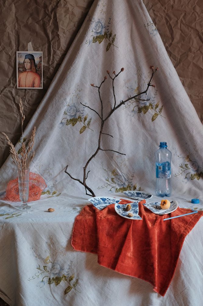 Натюрморт с абрикосами