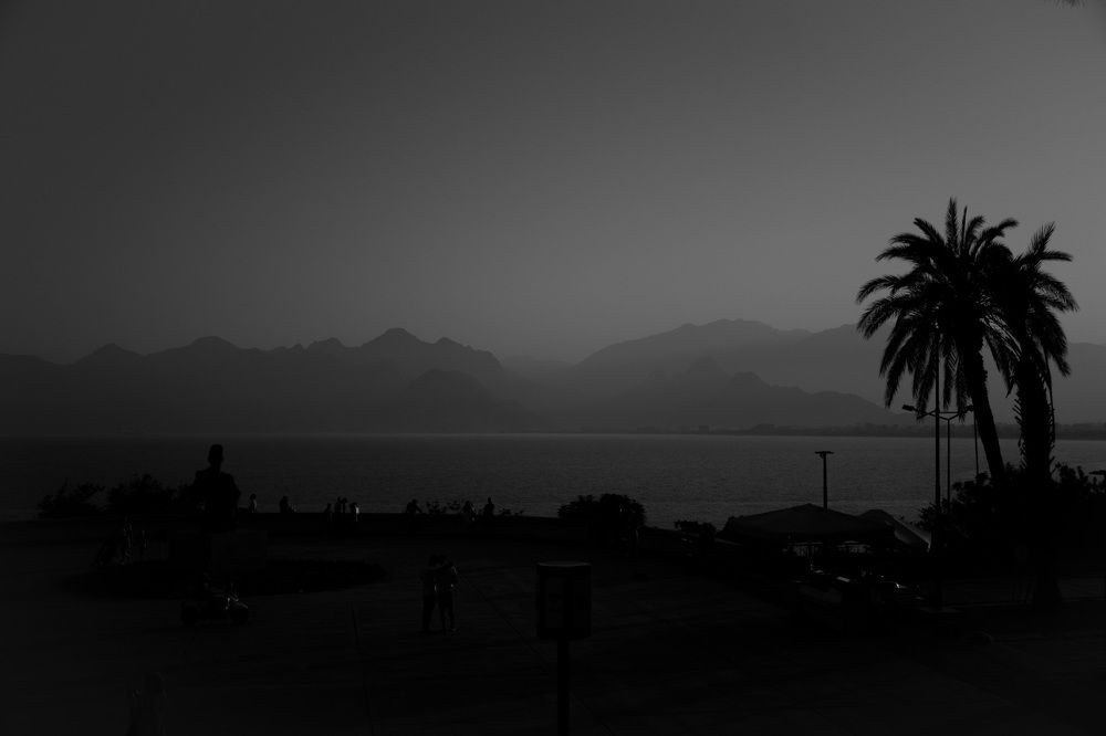 Photograph by Noor Kareem