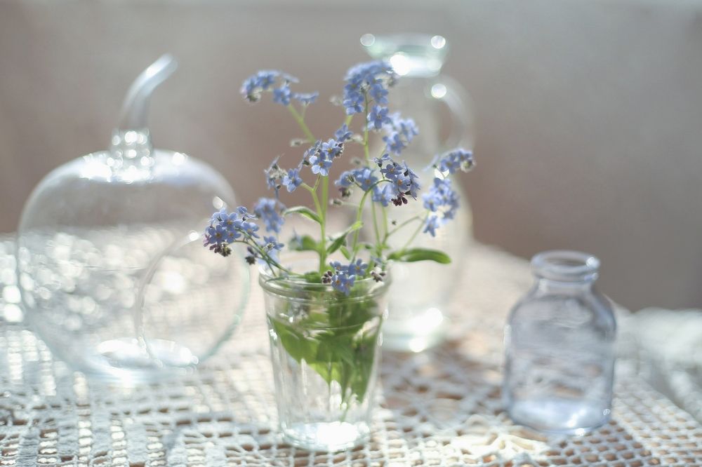 Незабудка - иногда одна минутка значит больше чем года.