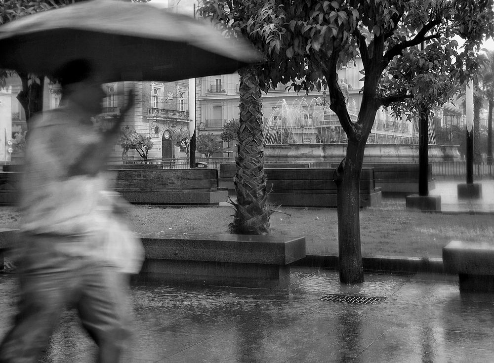 Photograph by Ilya Spektor