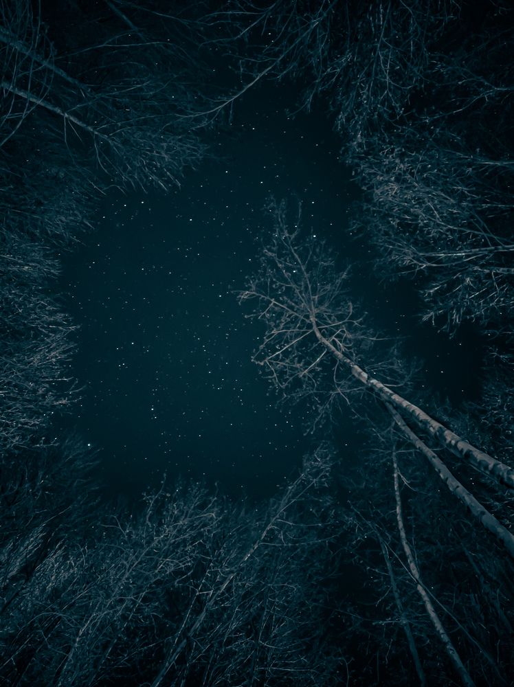Photograph by صدرا
