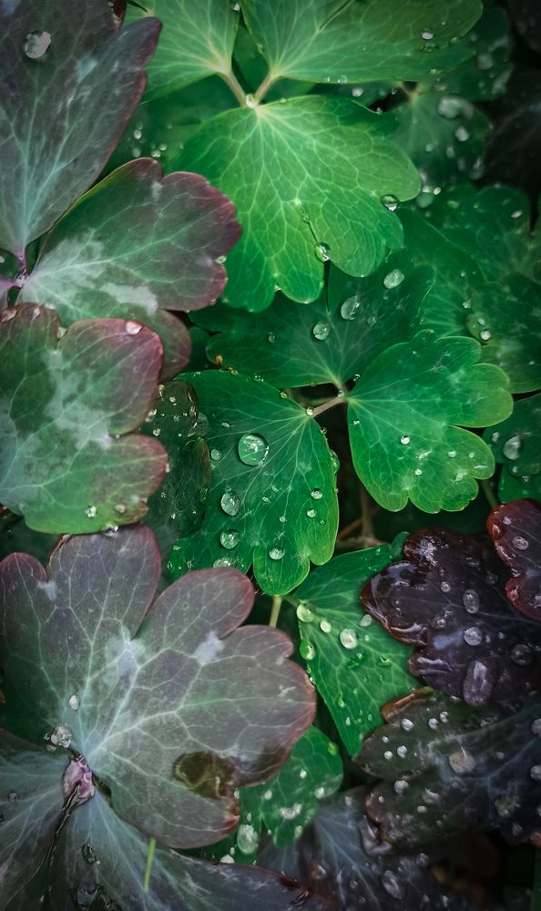 Фотография автора Алёна Подгорная