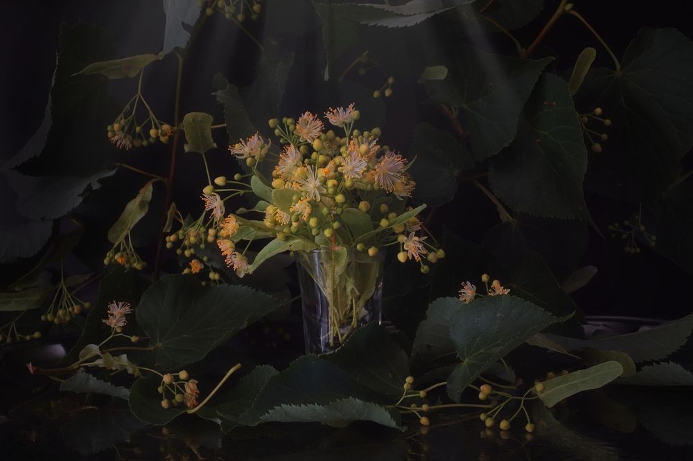 Photograph by Мария Колоскова