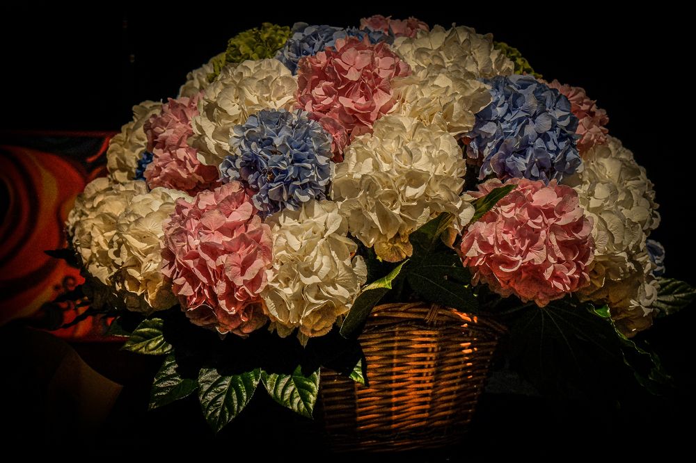 Photograph by Эльза Чанба