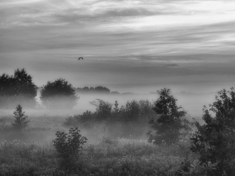 В окрестностях речки Чёрной...