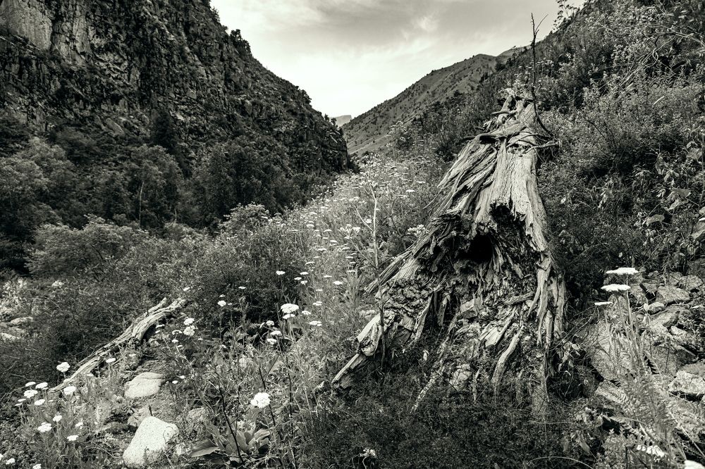 Photograph by Andrew Mikhaylov