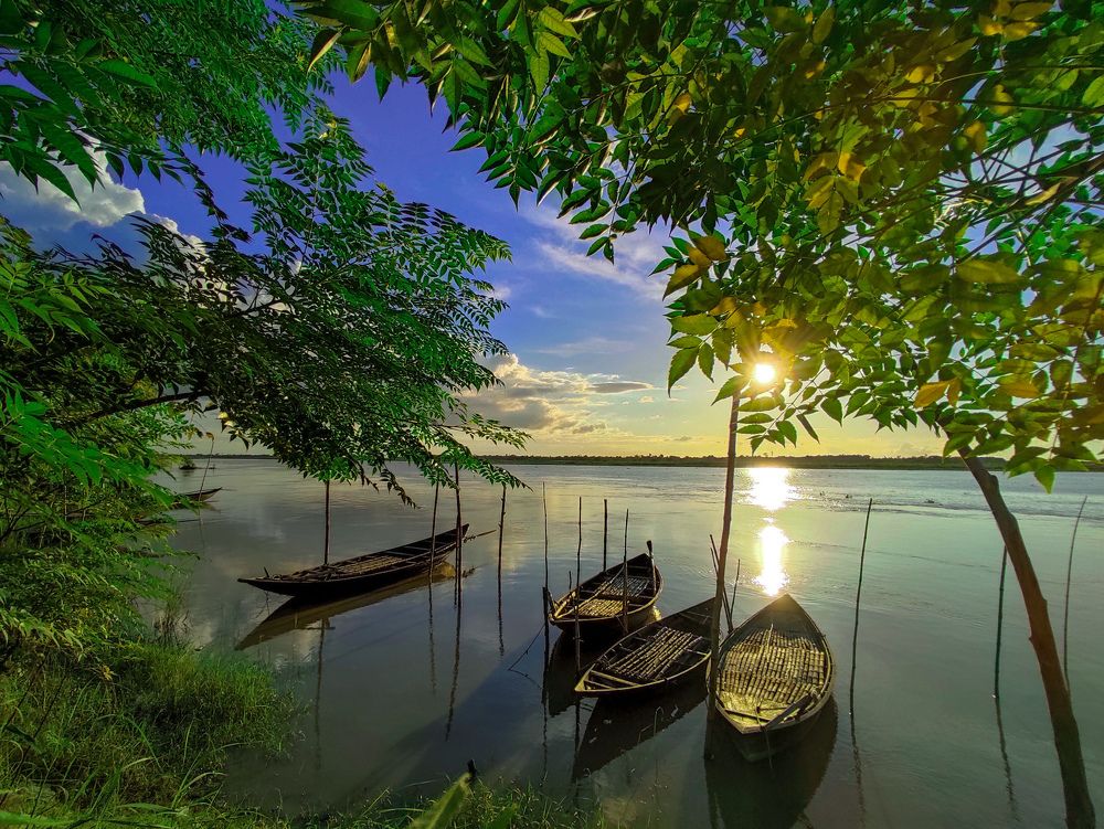 Beyond Trees.....