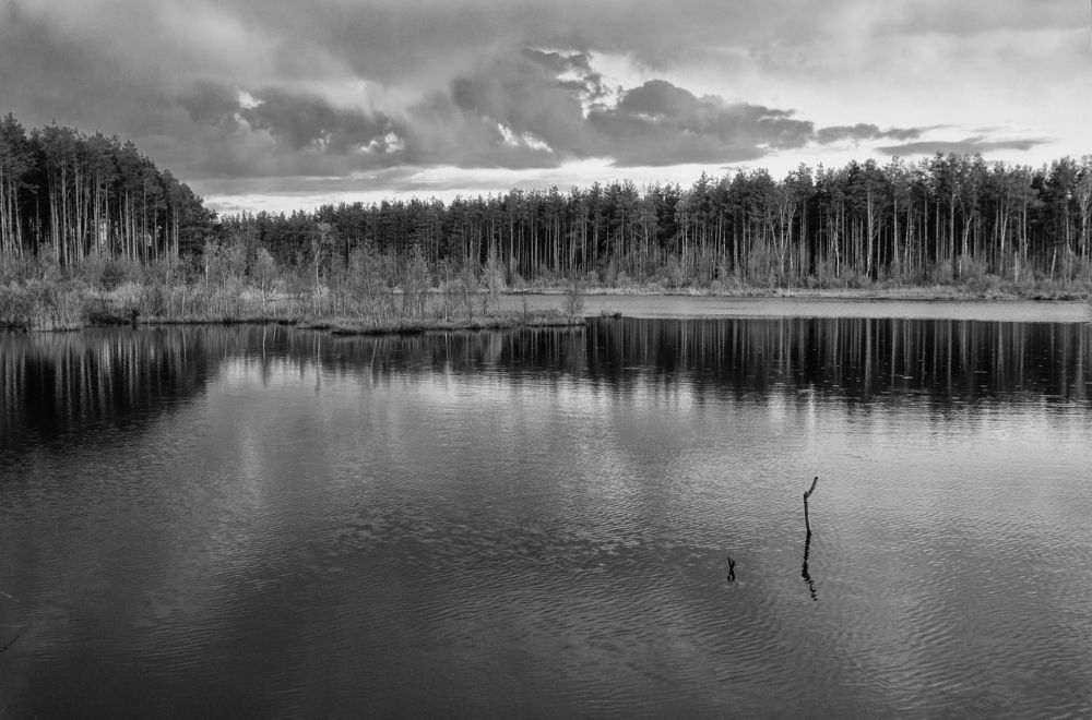 Photograph by Фёдор Куракин