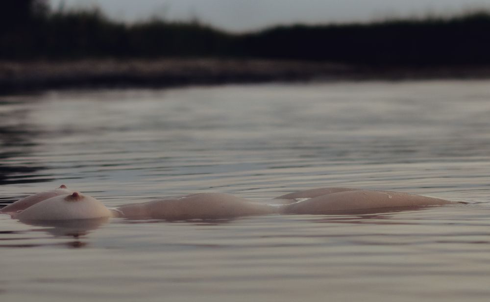 Фотография автора Евгений Пименов