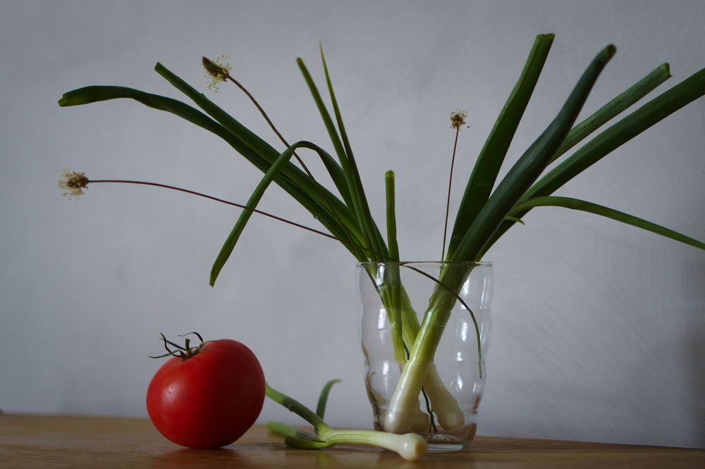 Photograph by Viktoria Vavilkina