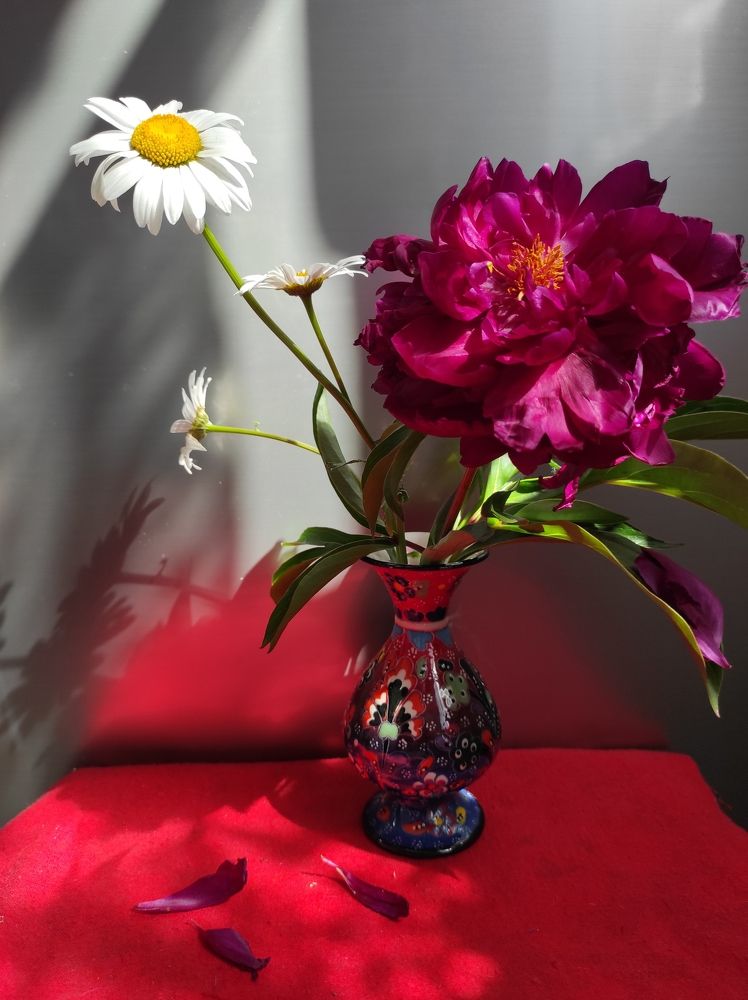 Photograph by Наталья Медведева