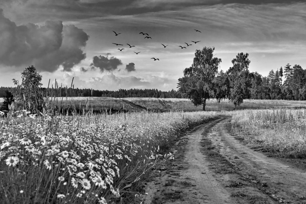 Фотография автора Александр Лукин