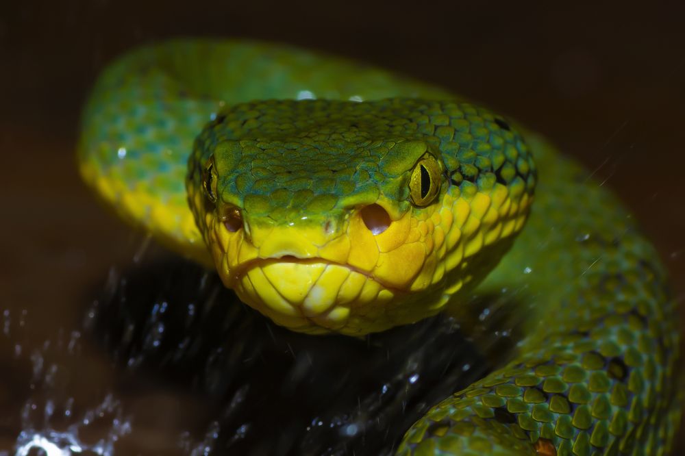 Photograph by Sameer Bhalekar