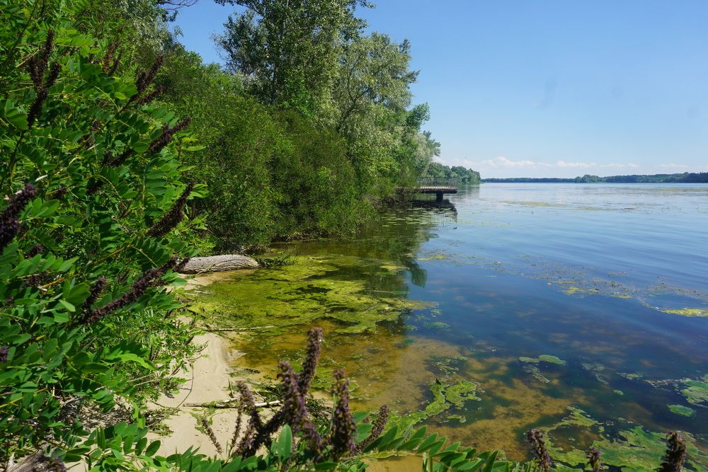 Photograph by Елена Гергель