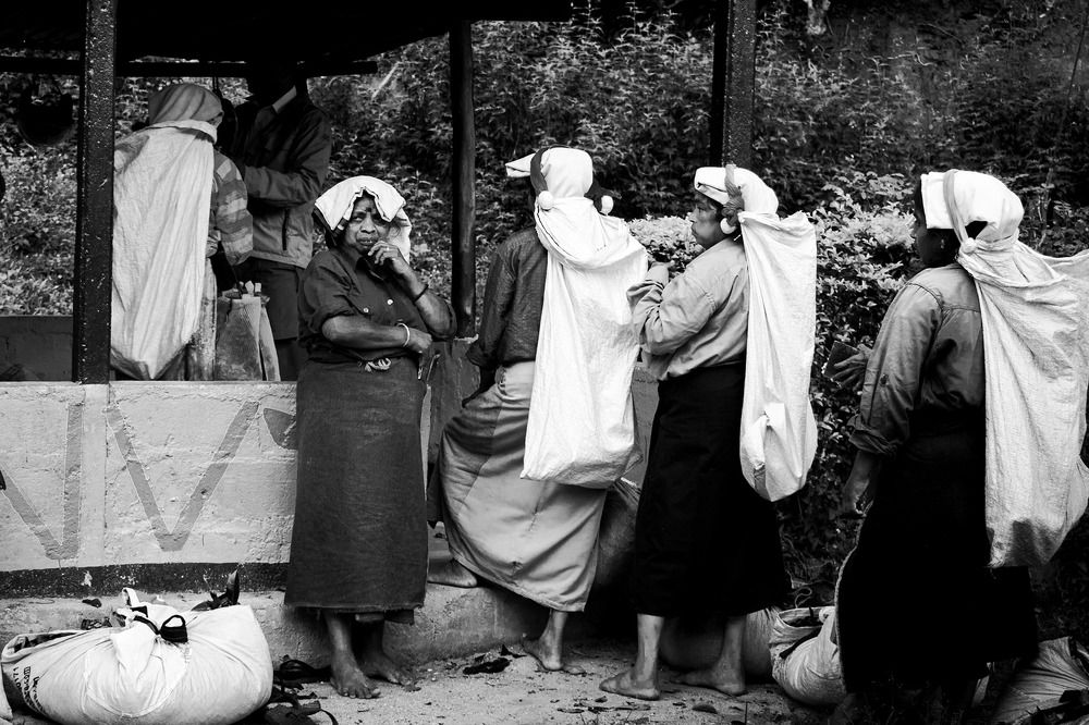 Photograph by M.I.M. Mahir