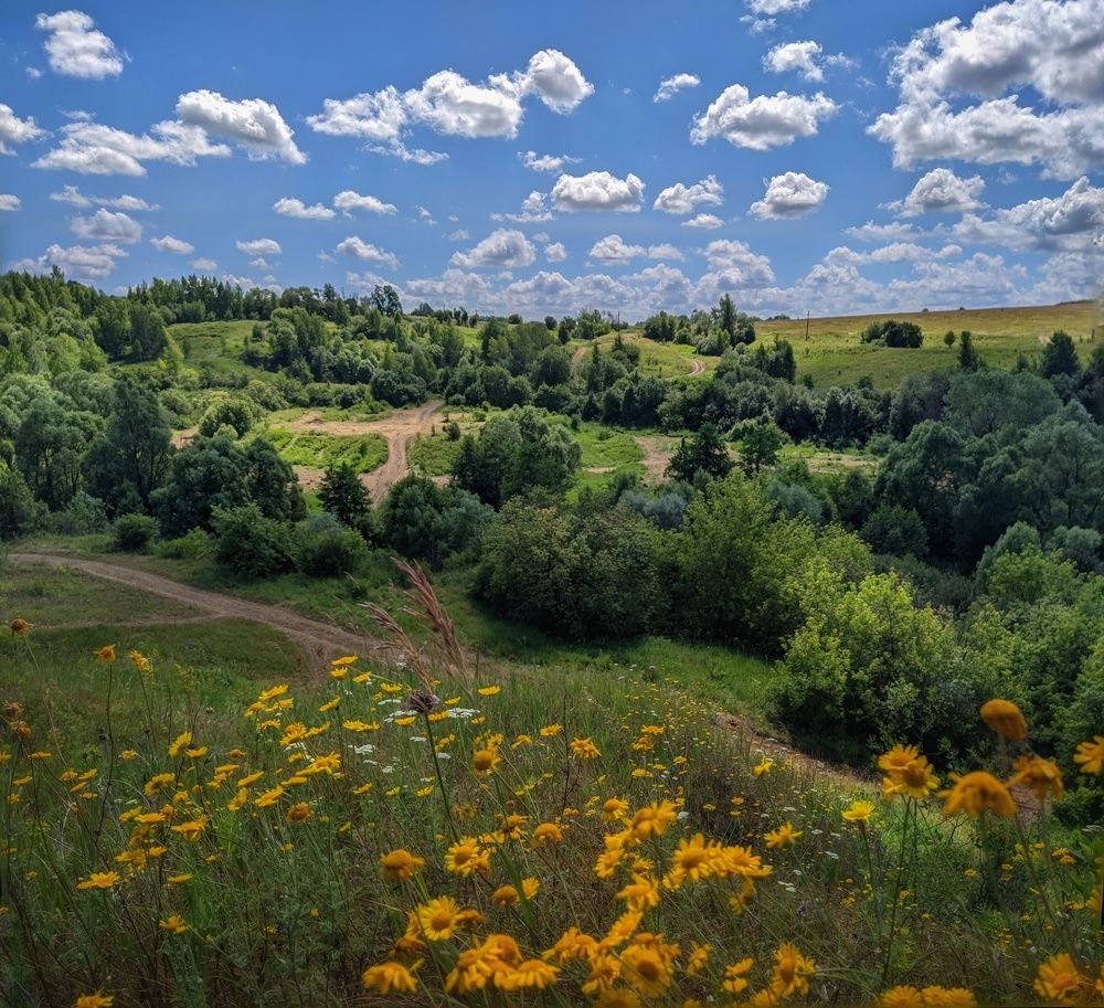 Photograph by Светлана Кондрашова