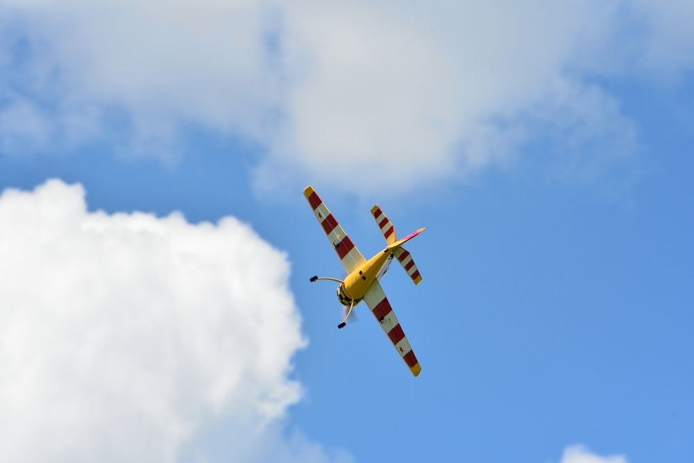 Фотография автора Сергей Чесноков