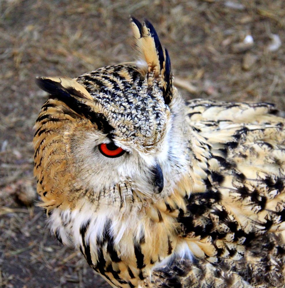 Photograph by Ирина Осипова