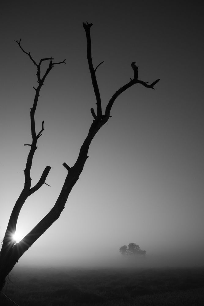 Photograph by Chetan Verma