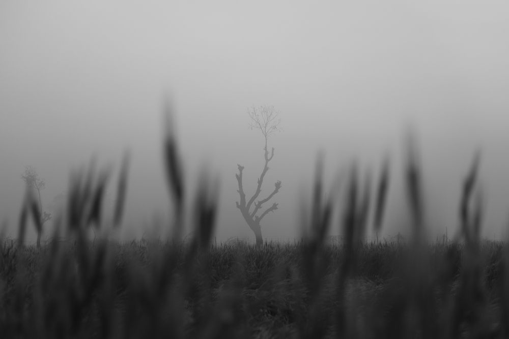 Photograph by Chetan Verma