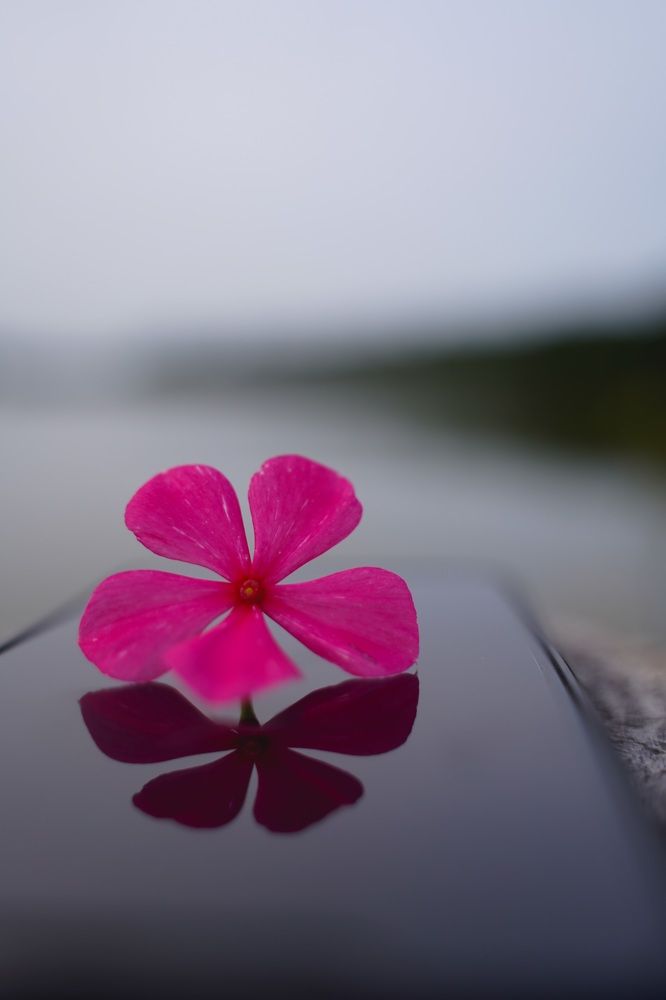 Photograph by Ekaterina Sukhanova