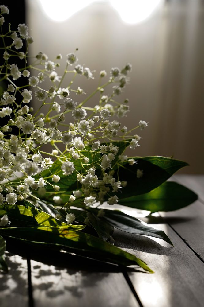 Photograph by Ekaterina Sukhanova