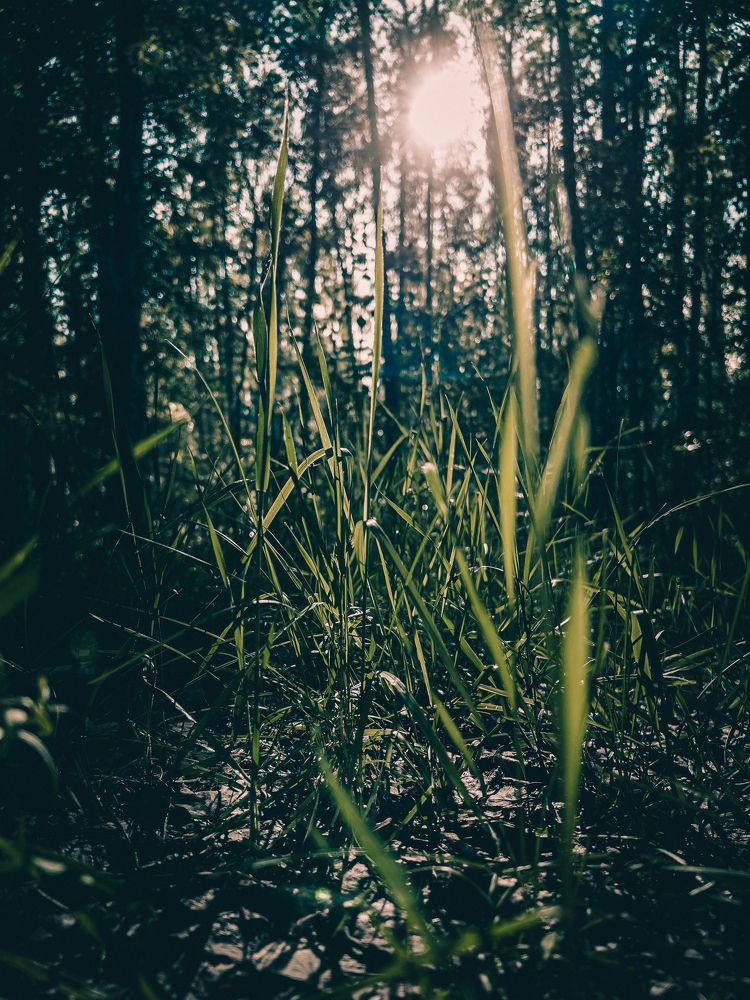 Photograph by Евгений Беляев