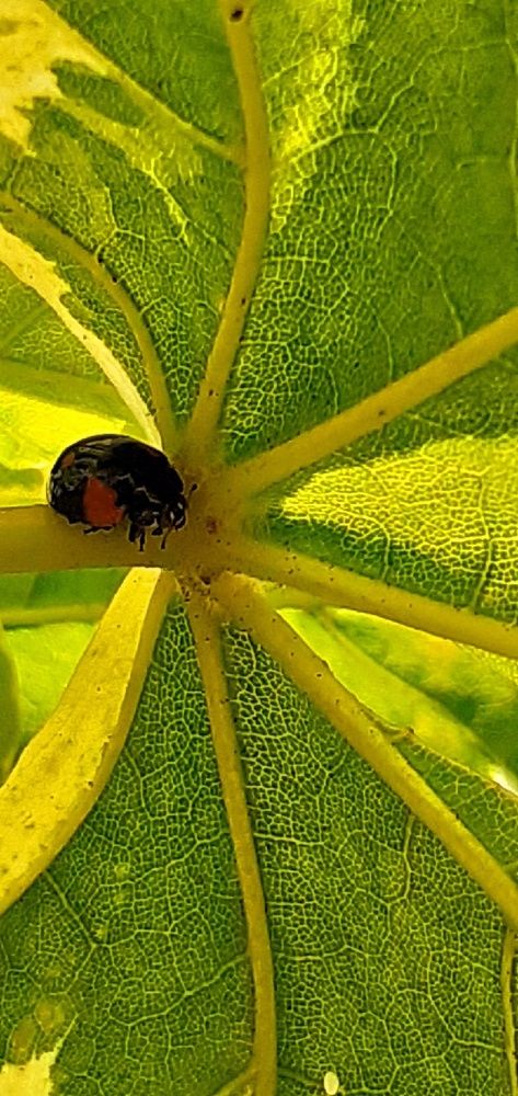 Photograph by Евгения Ульянова