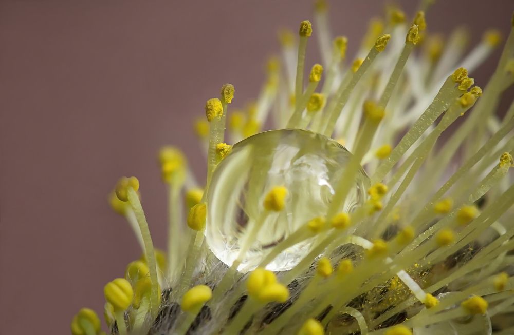 Фотография автора Andrey Pristyazhnyuk