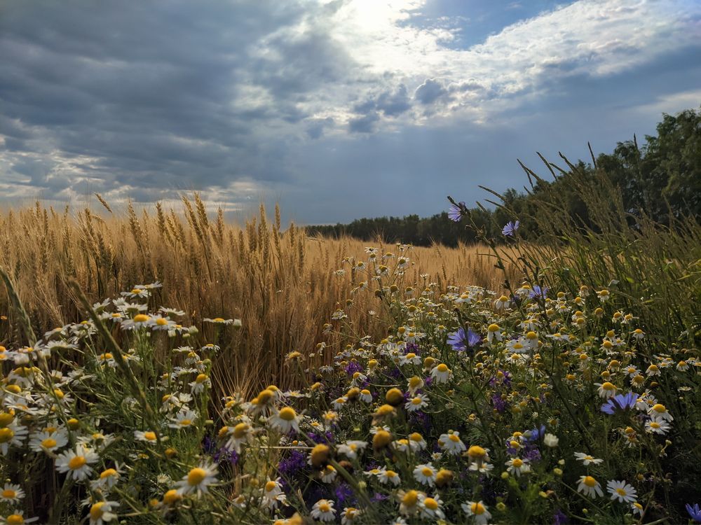 Photograph by Светлана Кондрашова