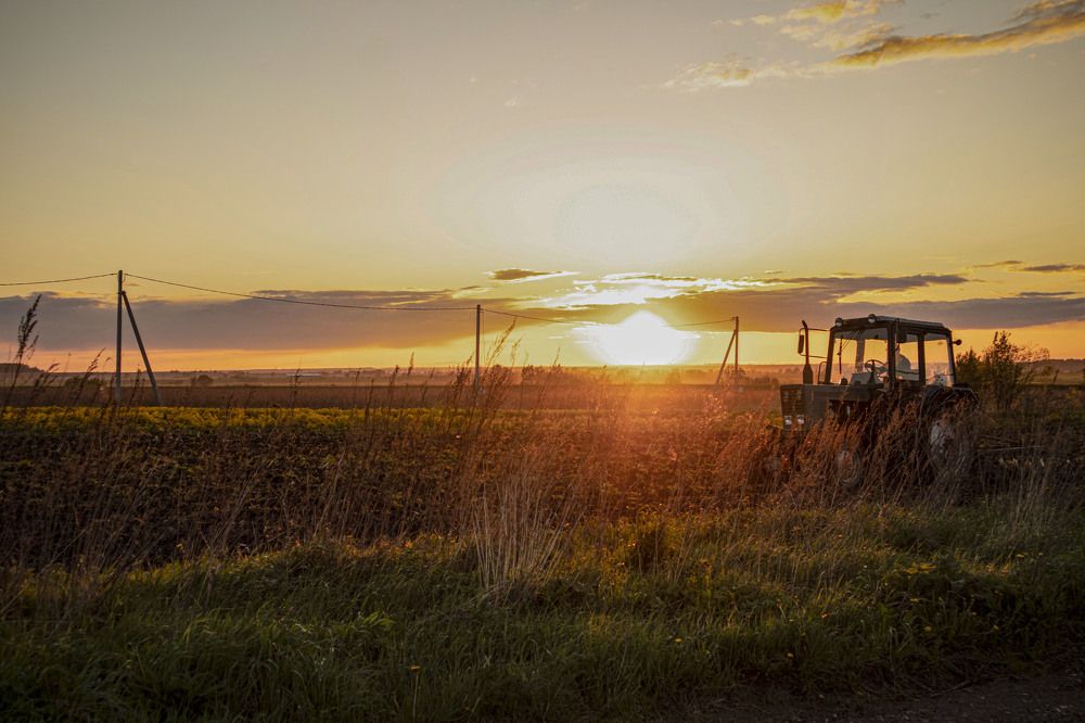 Photograph by Илья Бачурин