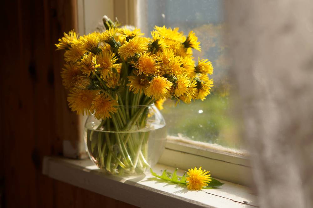 Photograph by Зыкова Юлия