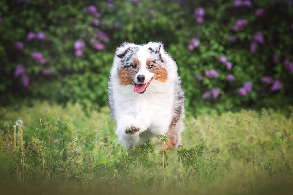 Фотография автора Anna Vilkhovaya