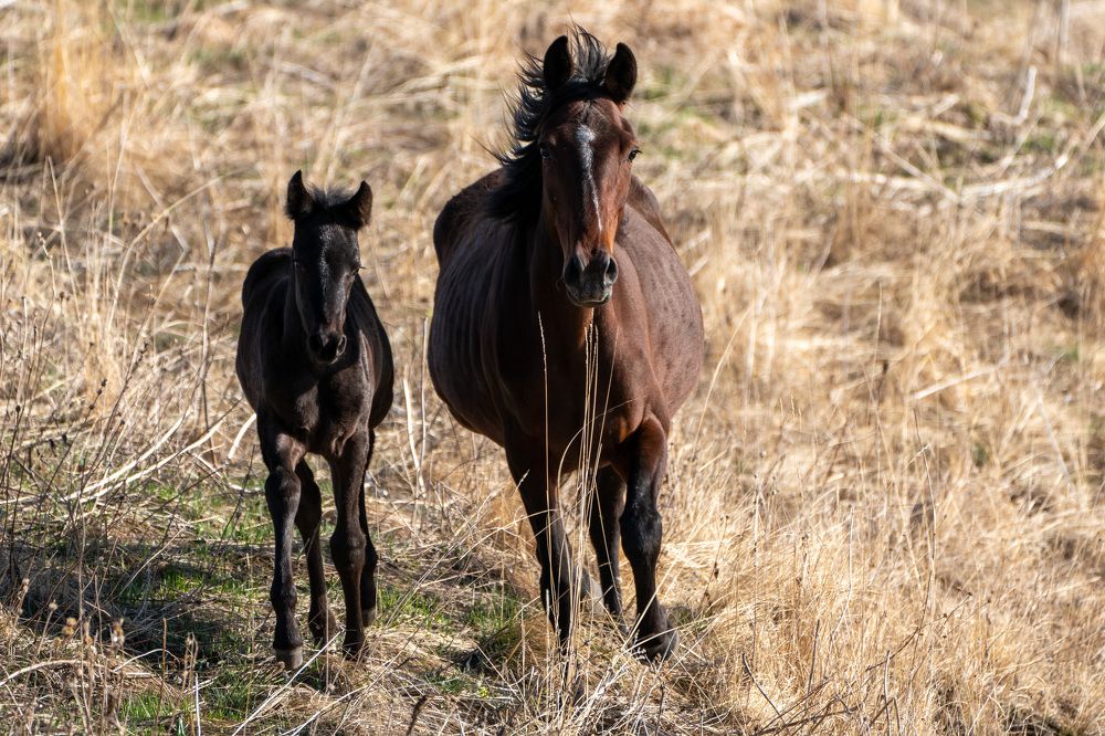 Фотография автора Виктория Ким