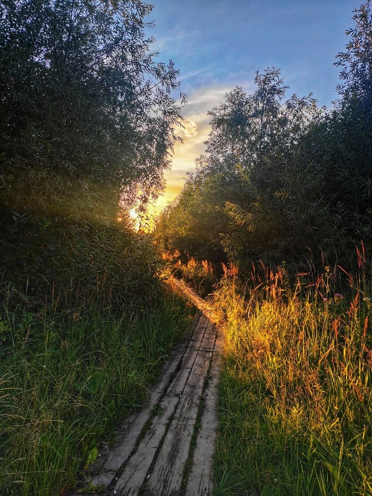 Photograph by Надежда