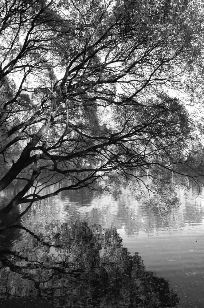 Photograph by Михаил Обертаев