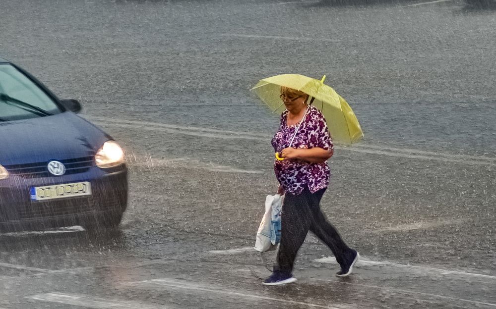 The woman with the umbrella