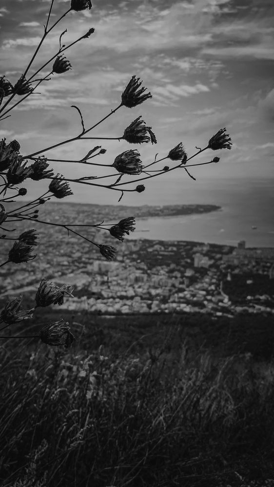 Photograph by Екатерина Мурсынина