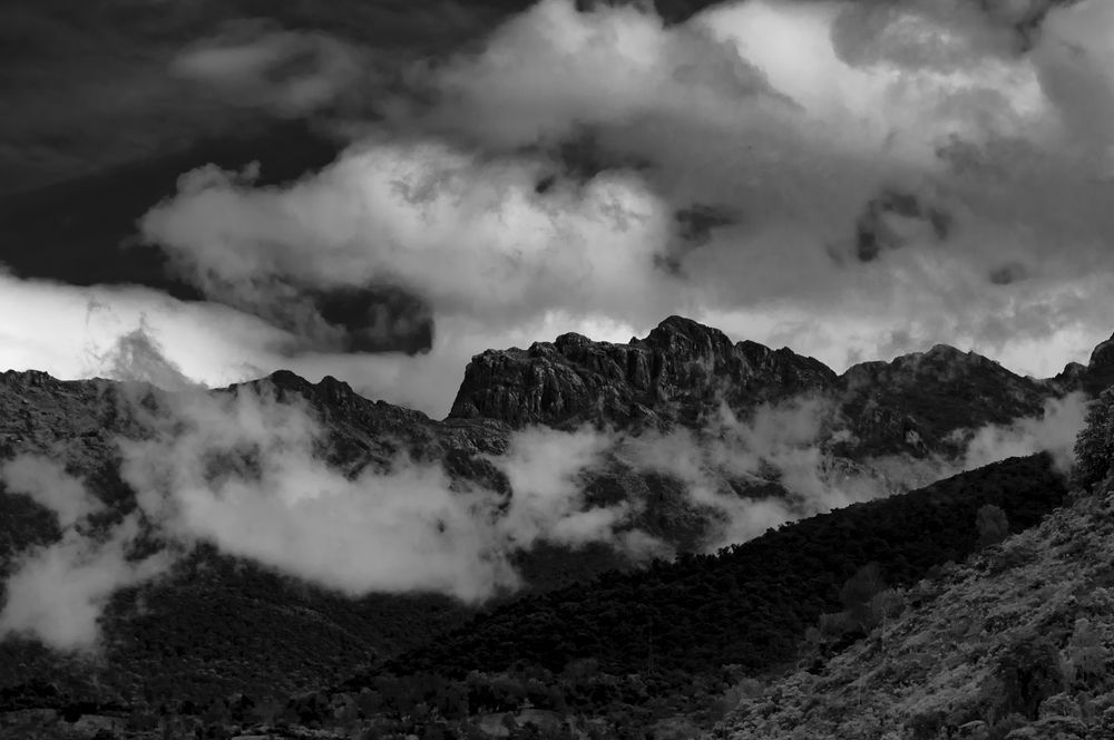 Photograph by Rodolfo Durán